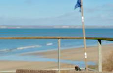 La sauvagine les pieds dans l'eau - Foto 6