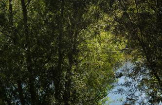 Naturnahes, neu möbl.Apartment, hundefreundlich - Foto 20