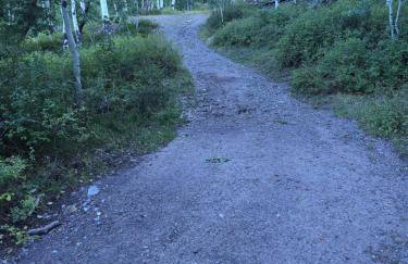 Camp Jackson Refuge all 6 sites - excludes host cabin - Foto 20