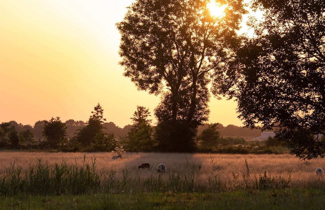 Atmospheric Lodge With Unobstructed View, Located in Beautiful Drenthe - Photo 75