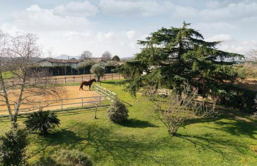 Villa immersed in green Isola dei Cavalli - Foto 23