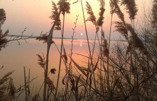 Appartementhaus "Schöni" - Foto 43