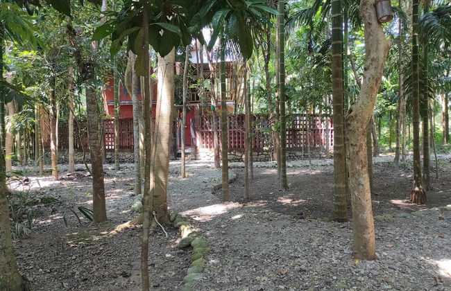 Homocation Sikhiri Cottages - Foto 1