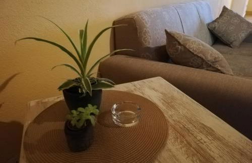 Podere Sant'Antonio - Foto 31