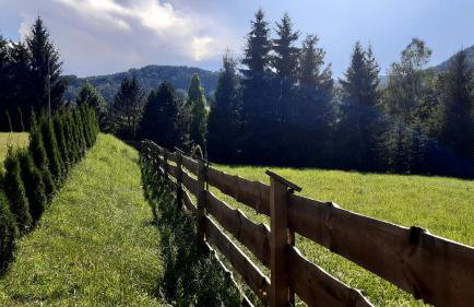 Słoneczna Solina Bóbrka - Foto 27