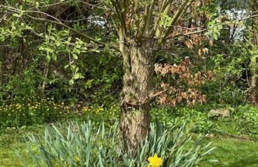 Ferienhaus „Burgpalace“ - Foto 30