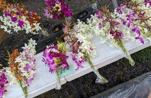 Local Living in Volcano Hawaii Breeze&5 mins to Volcano National Park - Foto 22