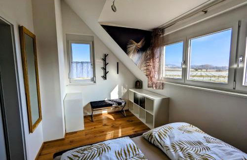 Ferienhof-Dachsberg Wohnung Paradies - Foto 3