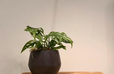 Hillside Haven - Boutique Spanish Escape - Foto 19