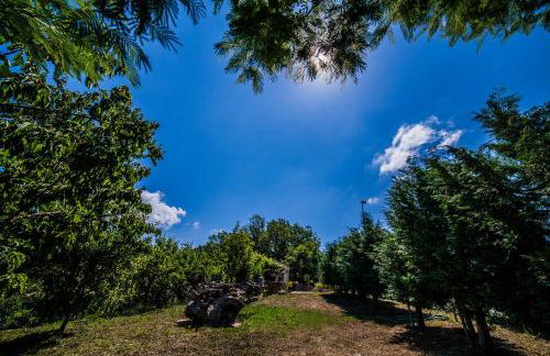 Casa sull'albero Bocchineri - Photo 27