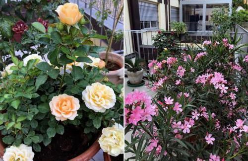 The Jasmine Terrace Retreat - Photo 48