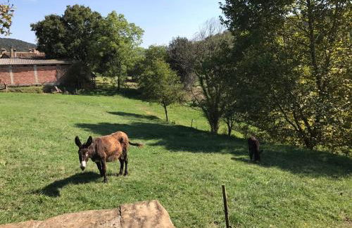 Casa Can Boix - Foto 98