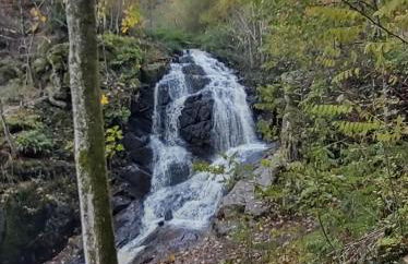 gite iza familiale Morvan - Foto 23