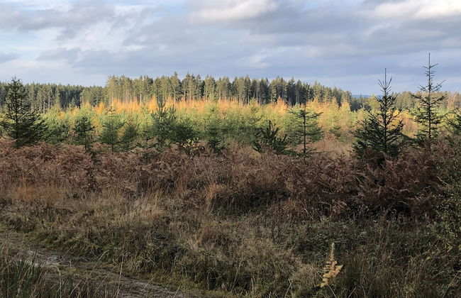 Rustic Cottage in Jevigne - Foto 24