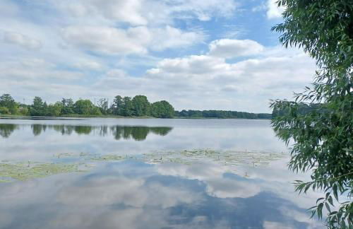 Ferienhaus am Bauernsee - Foto 7