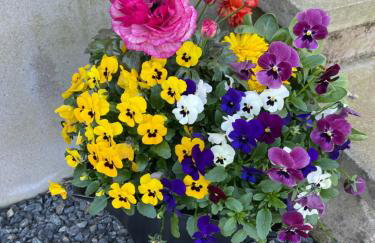 Loughview Lodge - Foto 40