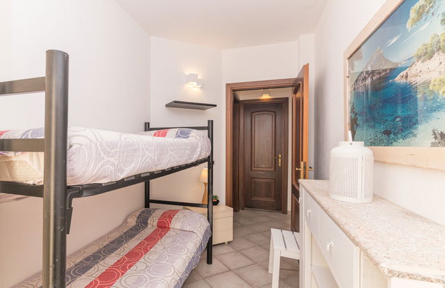 Agrifoglio - Foto 11