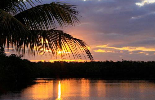 River Wilderness Waterfront Cabins - Photo 29