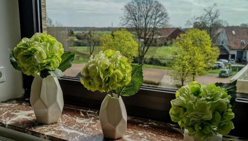 Pension Asche - Foto 5