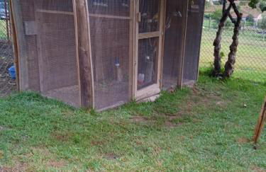 Quinta dos Campos - Apartamento 2 - Foto 35