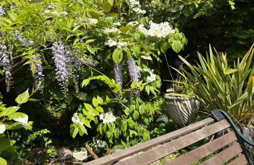 Historic Charm Garden Flat Adjoining Central Park - Foto 15