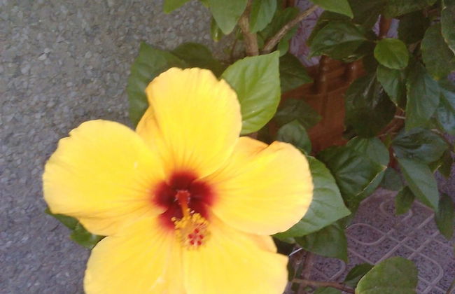 Apartamentos Pájaro Azul - Photo 17