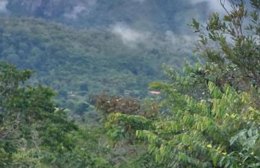 Refúgio no meio da natureza - Chalé Pé de Serra - Foto 16