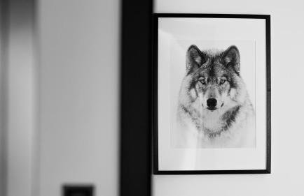 Za Górami - Foto 28