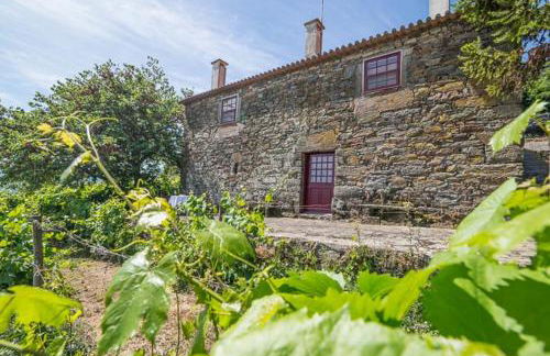 Quinta de Santa Júlia - Foto 52