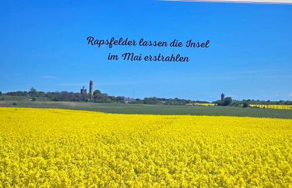 Ferienhäuser Ingrid Peters - Foto 21