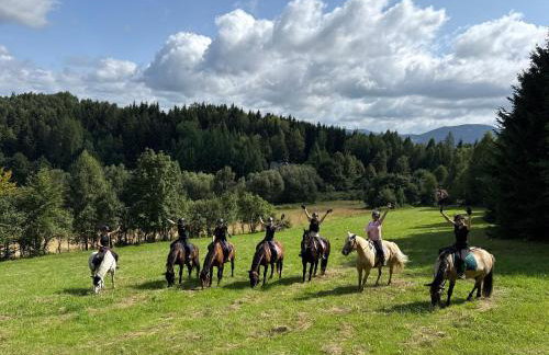 Agro Ranczo - Domek na wynajem - Foto 20