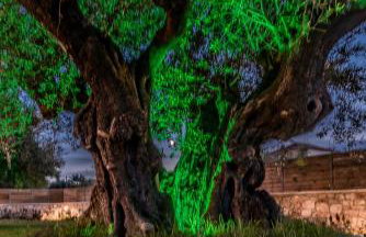 Green Stone Villa - Foto 28