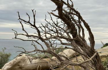 A House with A View - Foto 28