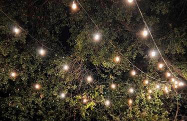 Lavender & Vine - Downtown Retreat with Hot Tub and Fire Pit! - Foto 12