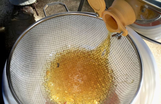 Finca El Tambor - Foto 45