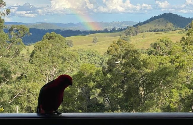 Bluegums Cabins Barrington Tops - Photo 80