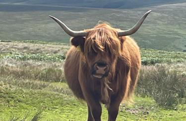 Winstitchen Cottage situated near the River Barle - Foto 34