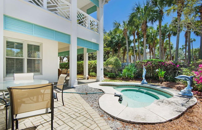 Blue Turtle Dreams - Foto 49