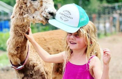 Petite Log Cabin on Organic Farm in New Mexico - Foto 2