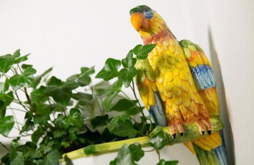 Residence Barbara - Foto 42