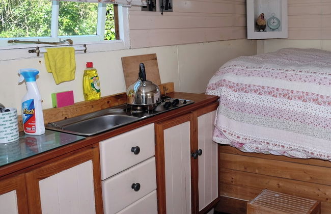 Cosy Shepherds Hut nr Kynance Cove - Foto 3