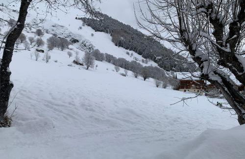 T1 La marmotte Saint Sorlin d'Arves - Photo 43