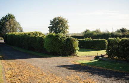 2 Bridge View - Foto 21