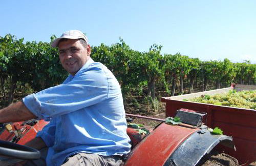 Agriturismo Torre Cristina - Foto 50