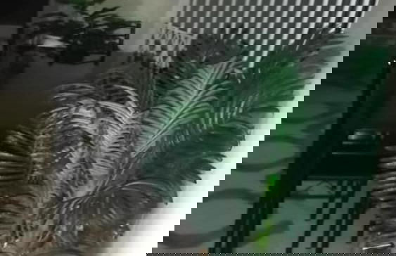 Charming 1-bed Apartment in Nakuru - Photo 8