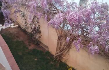 Manta Rota Beach, apartment in a villa, terrace,garden - Foto 21