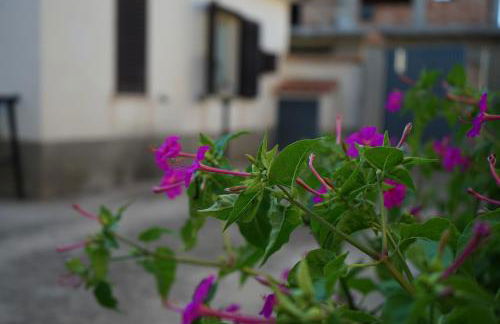 Loiacono Apartments 2 - Foto 49