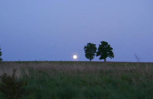 Róże i Jabłonie Agroturystyka - Foto 8