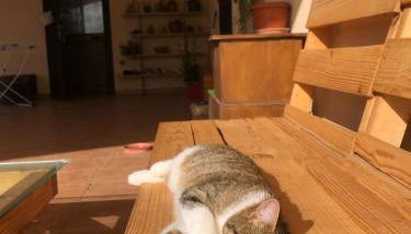 La tana dei Ricci - Foto 4