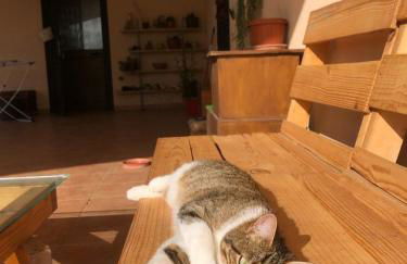 La tana dei Ricci - Foto 4